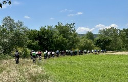 Mysia Yolları'nda Leylek Şenliği