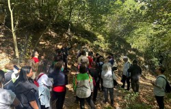 Mysia Yolları Alzheimer Ayı Yürüyüşü Eylül 2025