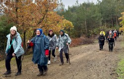 Mysia Yolları Hafta İçi Doğa Yürüyüşü Aralık 2025