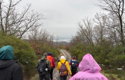 Mysia Yolları Hafta İçi Doğa Yürüyüşü Ocak 2026