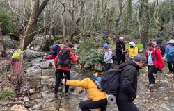 Mysia Yolları Hafta İçi Doğa Yürüyüşü Ocak 2026