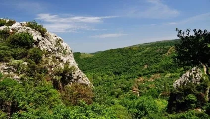 P19 Unçukuru - Ayva - Fadıllı Mysia Roads Image