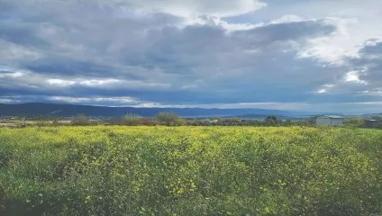 P20 Apollonia Yolu (Gölyazı - Uluabat) Mysia Yolları Görsel