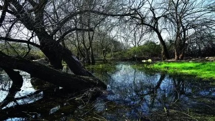 P22 Görükle - Kapanca Mysia Yolları Görsel