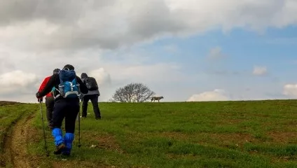 P2 Dağyenice –Fırla Hill - Demirci Mysia Roads Image