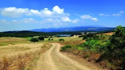 P4 Dağyenice Pond - Atlas Mysia Roads Image