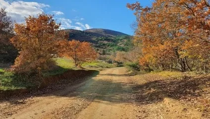 P6 Atlas - İnegazi Mysia Roads Image