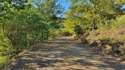 P11 Üçpınar - İnegazi Mysia Roads Image