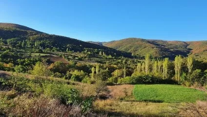 P13 Üçpınar - Tahtalı Mysia Roads Image