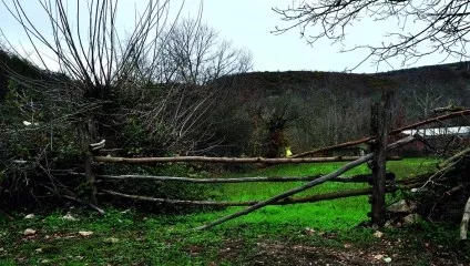 P17 Maksempınar - Korubaşı Mysia Roads Image