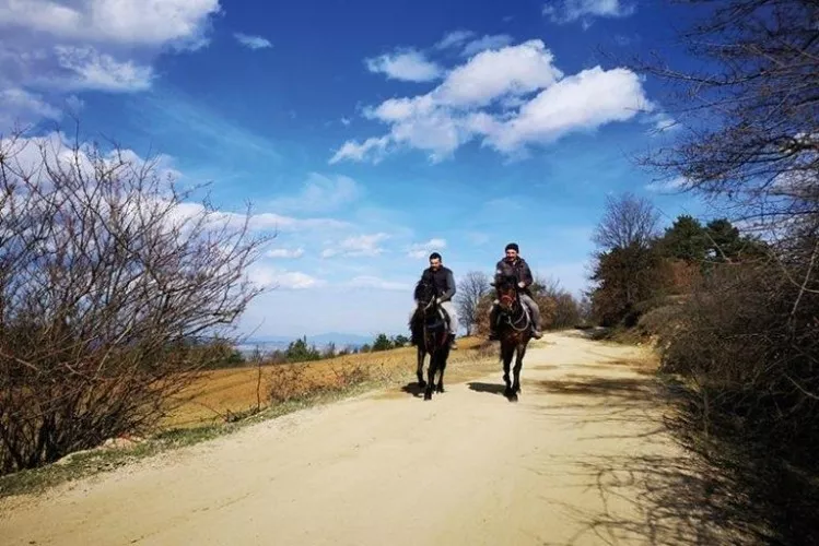 Horse Riding Trails Mysia Roads Image